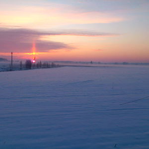 Saule โค๏ธ photo