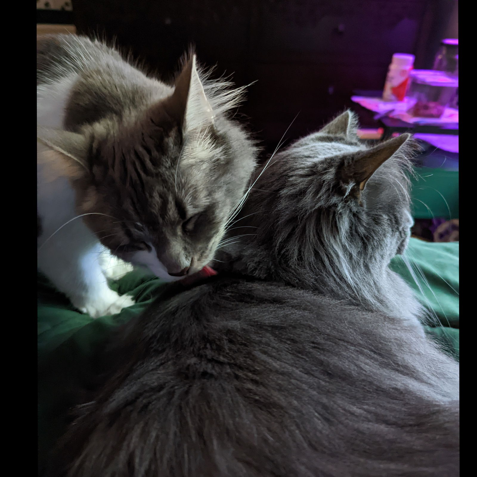 slightly sultry photo