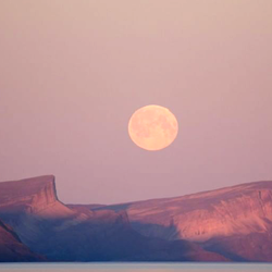 🧚🏻‍♀️✨ photo