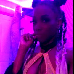 Silhouette Barbie: Minneapolis Model