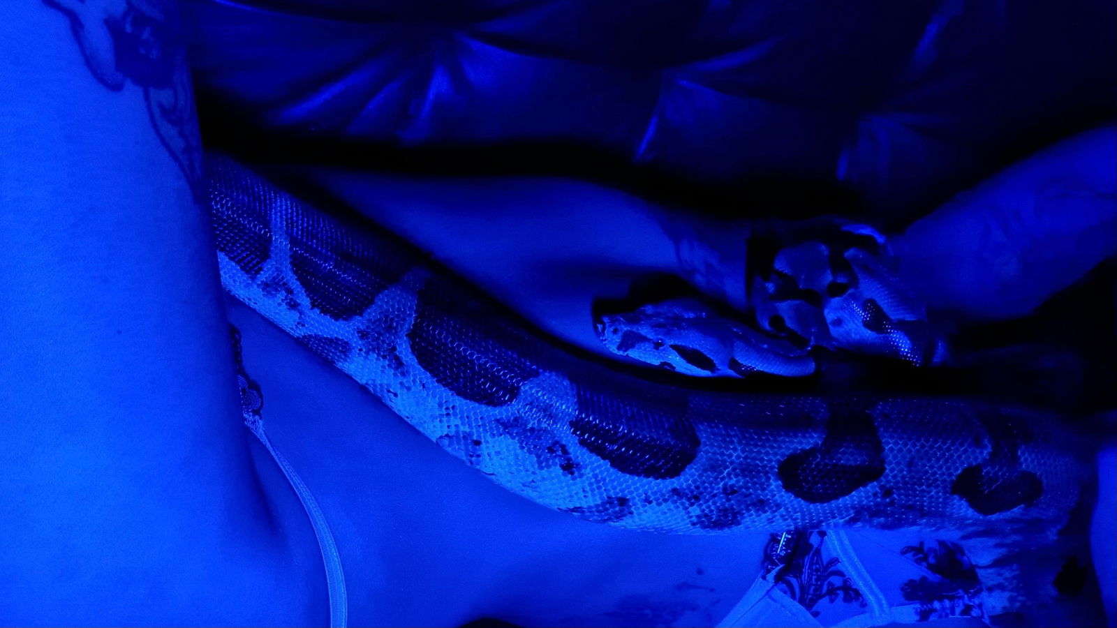 Ariel 🐬🦑 photo