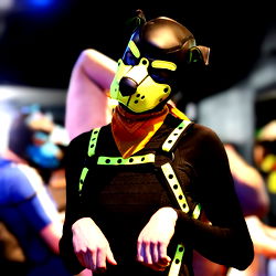 Vibgy and Energetic Dog Mascot in Vest and Goggles