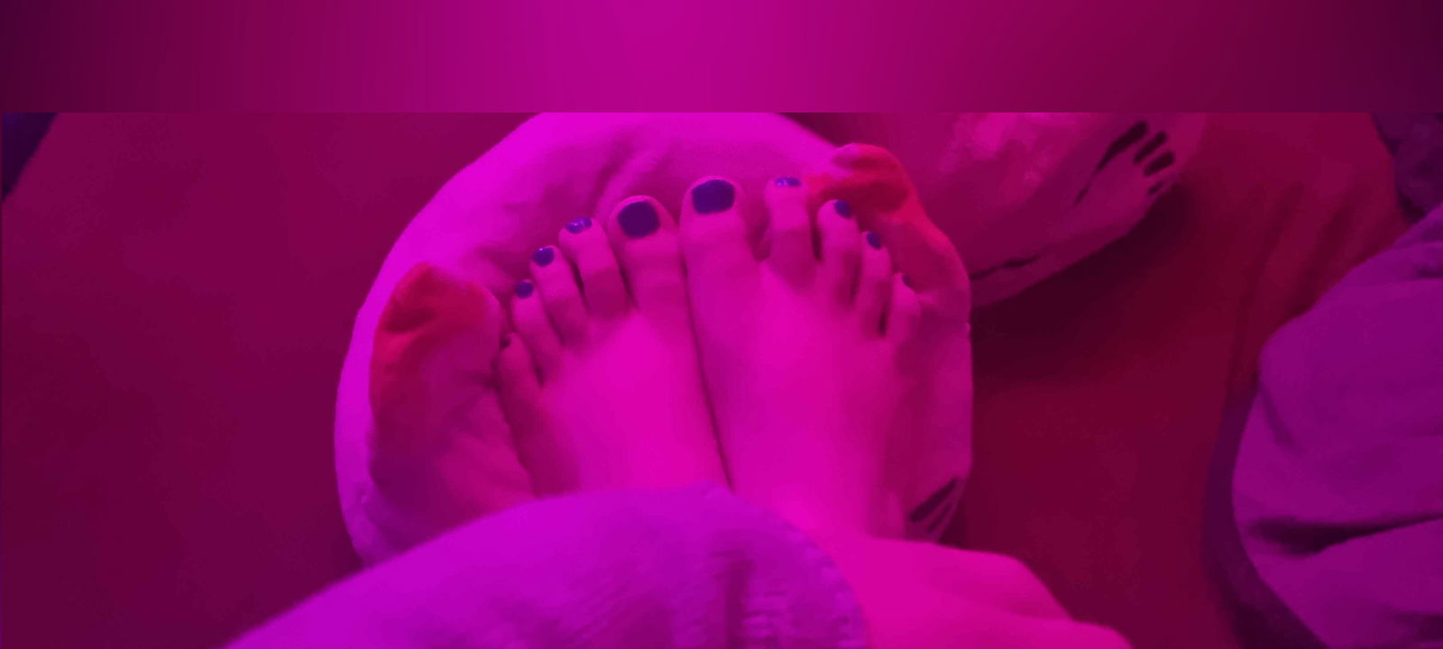 DumbLittleSpider photo