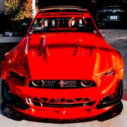 BackBreaker25: A Rare Red Mustang Model
