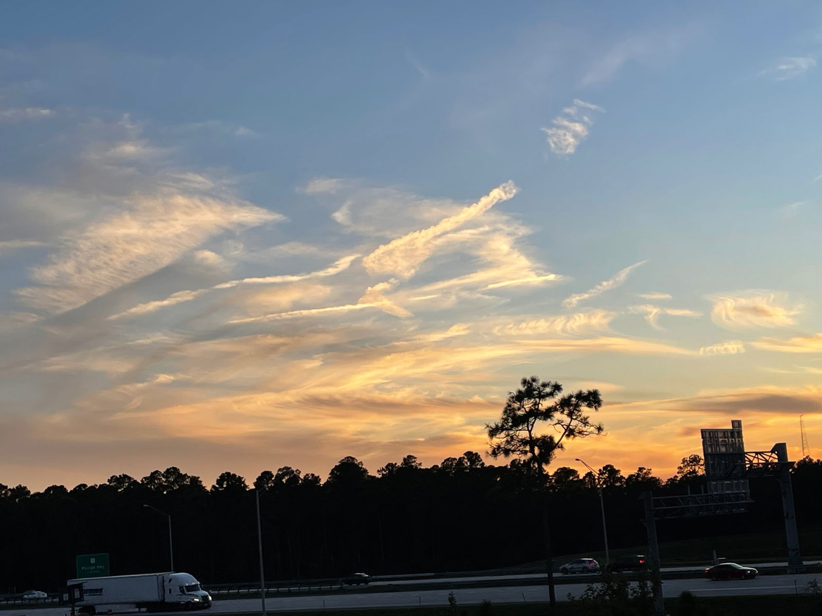 <3 Honey Bear Goby <3 photo