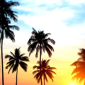 The Mandingo Club XXX VIP PREMIUM!! photo