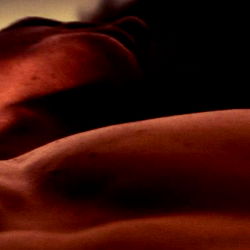 AME Photograph 📸 📽️ photo