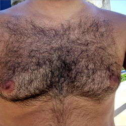 Hairy Chest of Andrikos44 Model