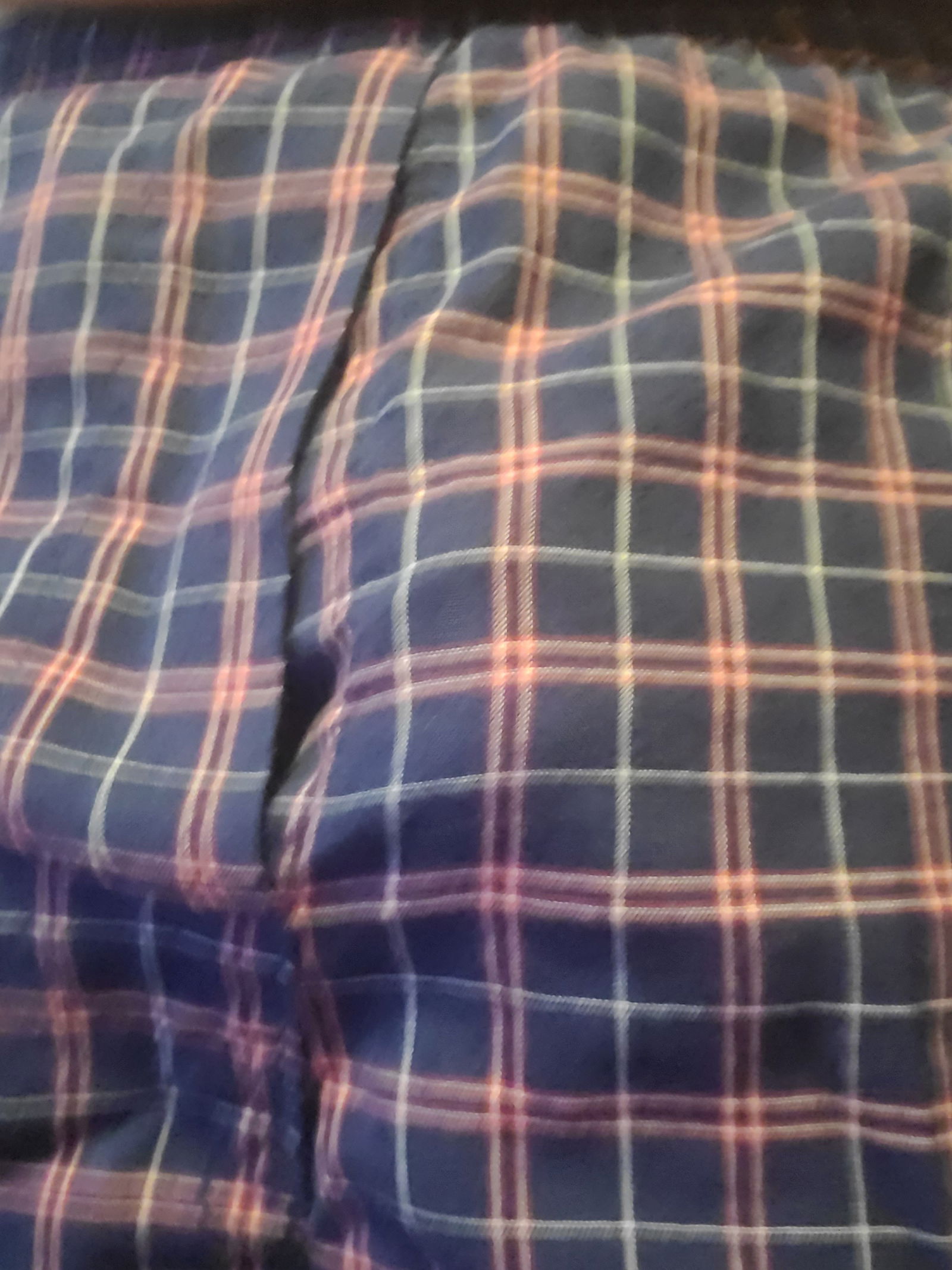 HorniBurrito420 photo