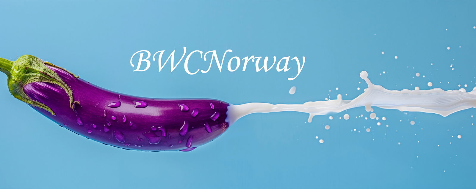 BWCNorway photo
