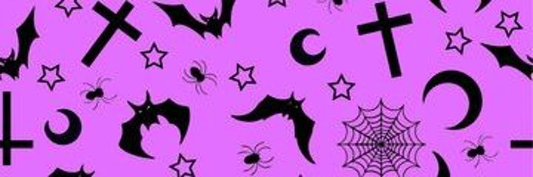 CatTacoSupreme photo