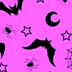 CatTacoSupreme photo