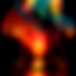 CatTacoSupreme photo