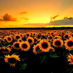 Elizabeth Tassa-Fuentes photo