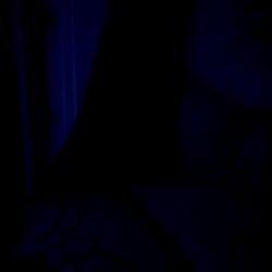 𝐢𝐬𝐚𝐛𝐞𝐥𝐥𝐚🌻 photo