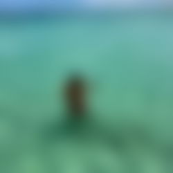 T O T I T O ๐ฆ๐ท photo