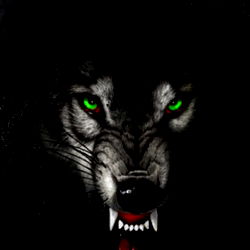 High_ Maintenance_Hippie* photo