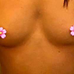 HRNY House Wife photo