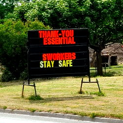 💸 Bₑₗₗₐdₒᵣₐ'ₛ Bᵢg Cₒₘfy Cₒᵤcₕ 💵 photo