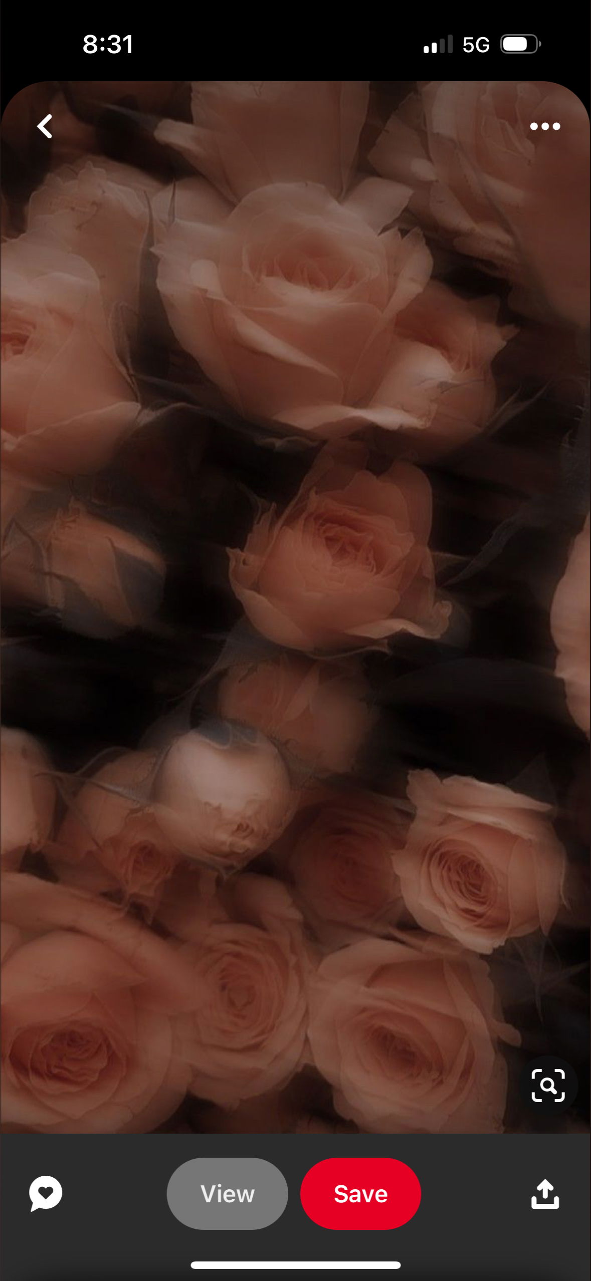 Jinx &amp; Fenix photo