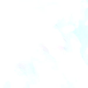 Curvy Pussycat photo