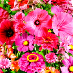 Vibrant Wildflower Bouquet