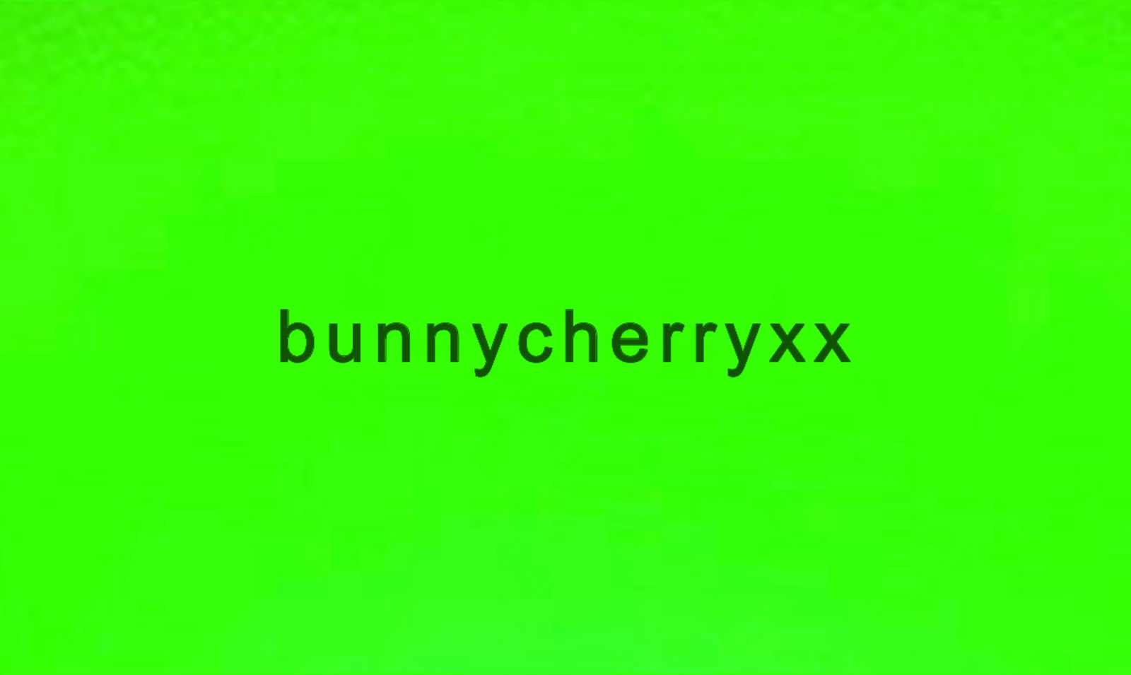 🧚‍♀️ bunny 🧚‍♀️ photo