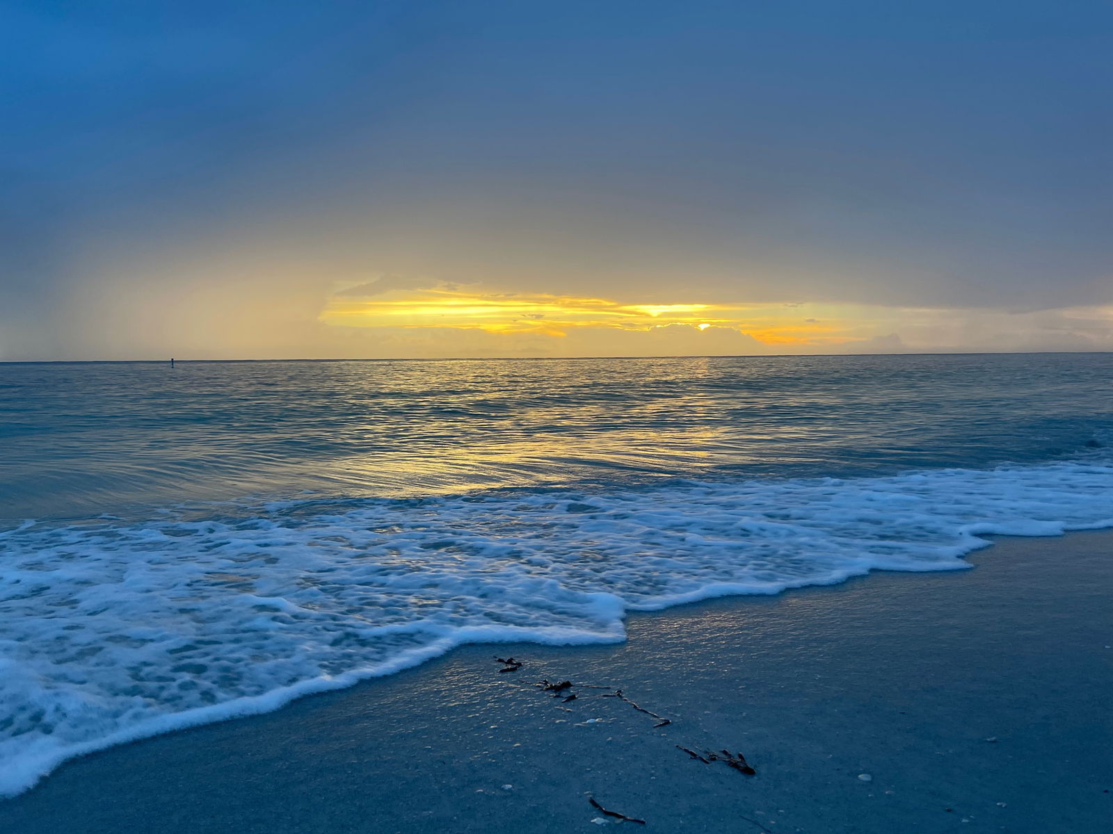 Eric the Artist photo