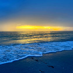 Eric the Artist photo