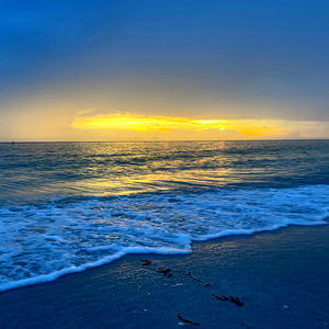 Eric the Artist photo