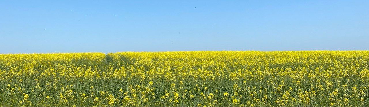 Amarita Franchetti photo