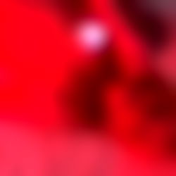 Kellyโs VIP+ Room ๐ญ photo