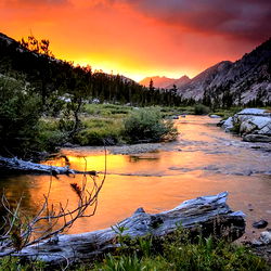 MommaBear6969_VIP photo