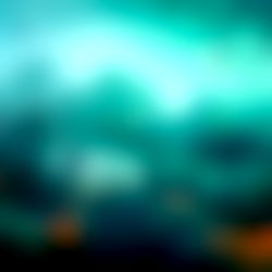 Alice Rodriguez photo