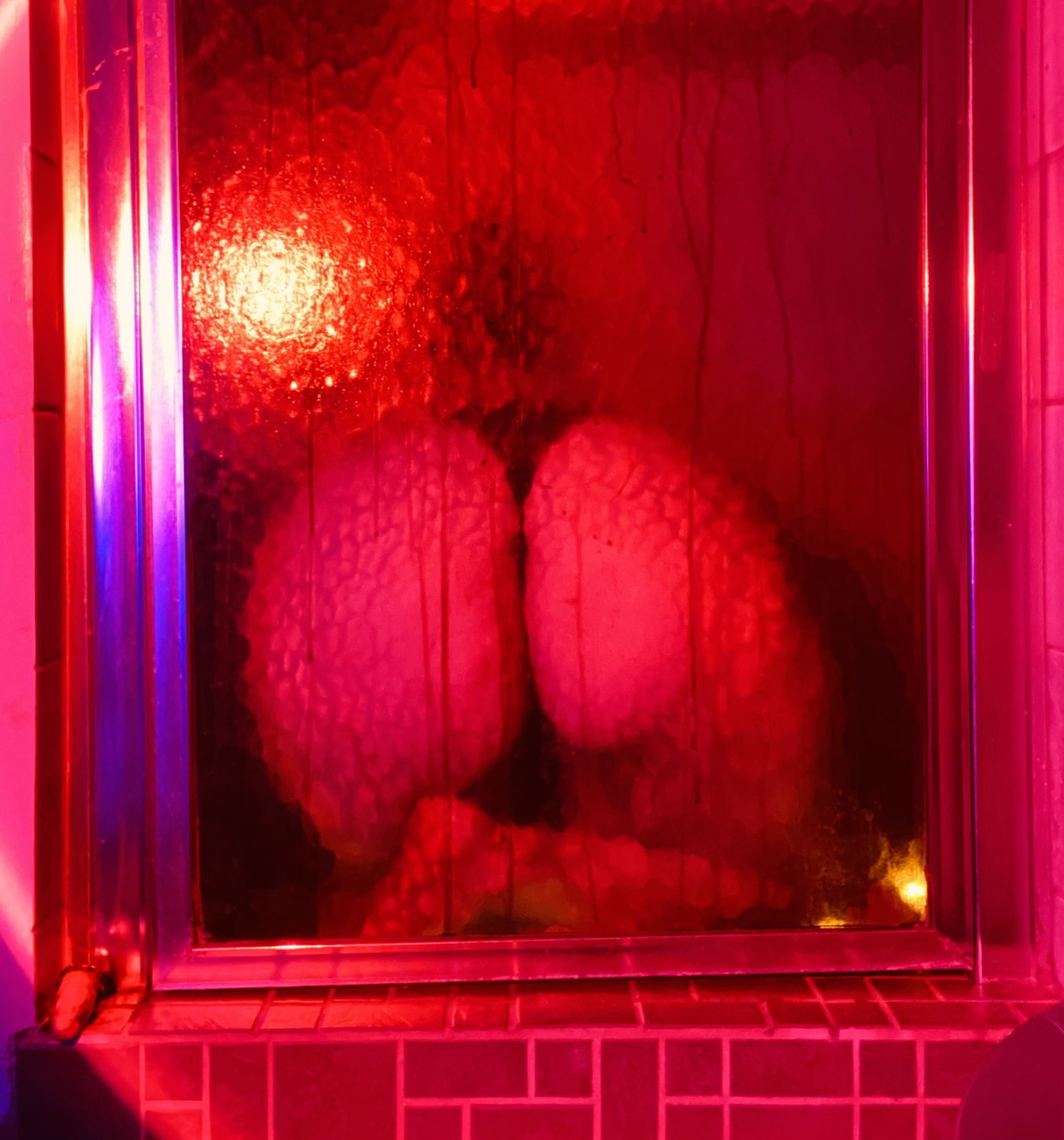 𝓐𝓷𝓪 𝓜𝓪𝔂 (𝓼𝓱𝓮/𝓱𝓮𝓻) photo