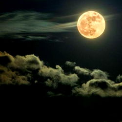 Густав Элайджа photo