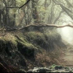 ✨aozora✨ FREE photo