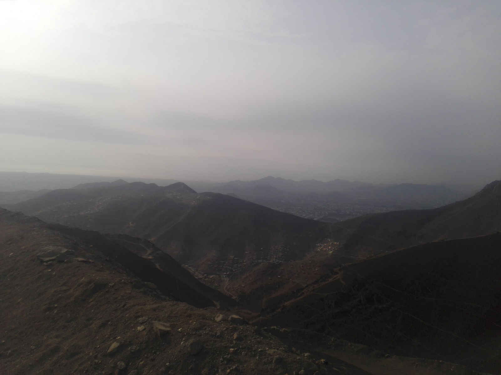 𝑩𝒆𝒂𝒔𝒕 𝑩𝒐𝒚 photo