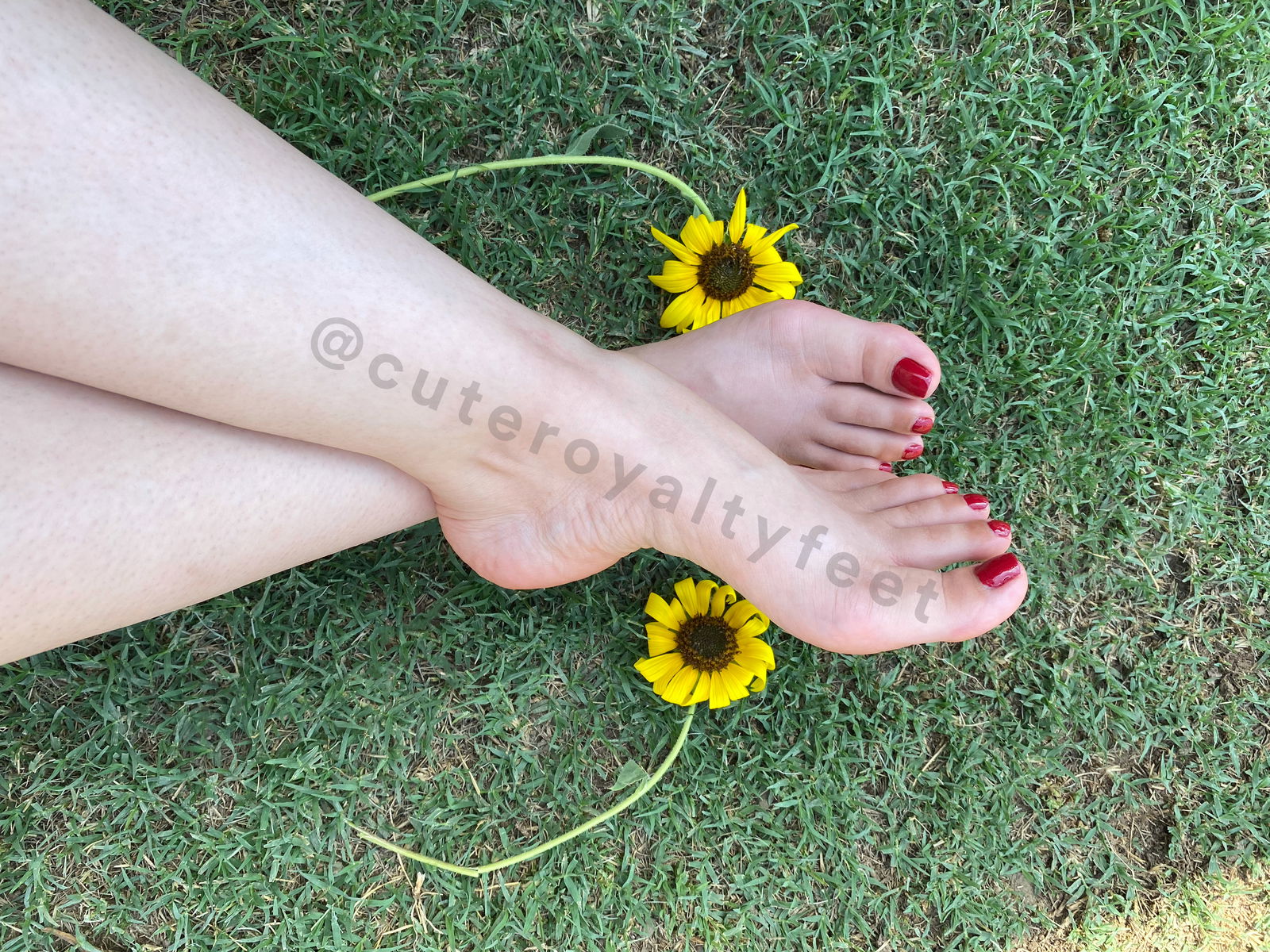 Cuteroyaltyfeet photo