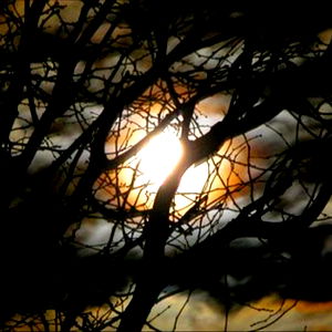 SlightlyxSpooky photo