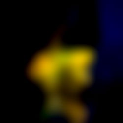 Peachy Bun ๐ photo