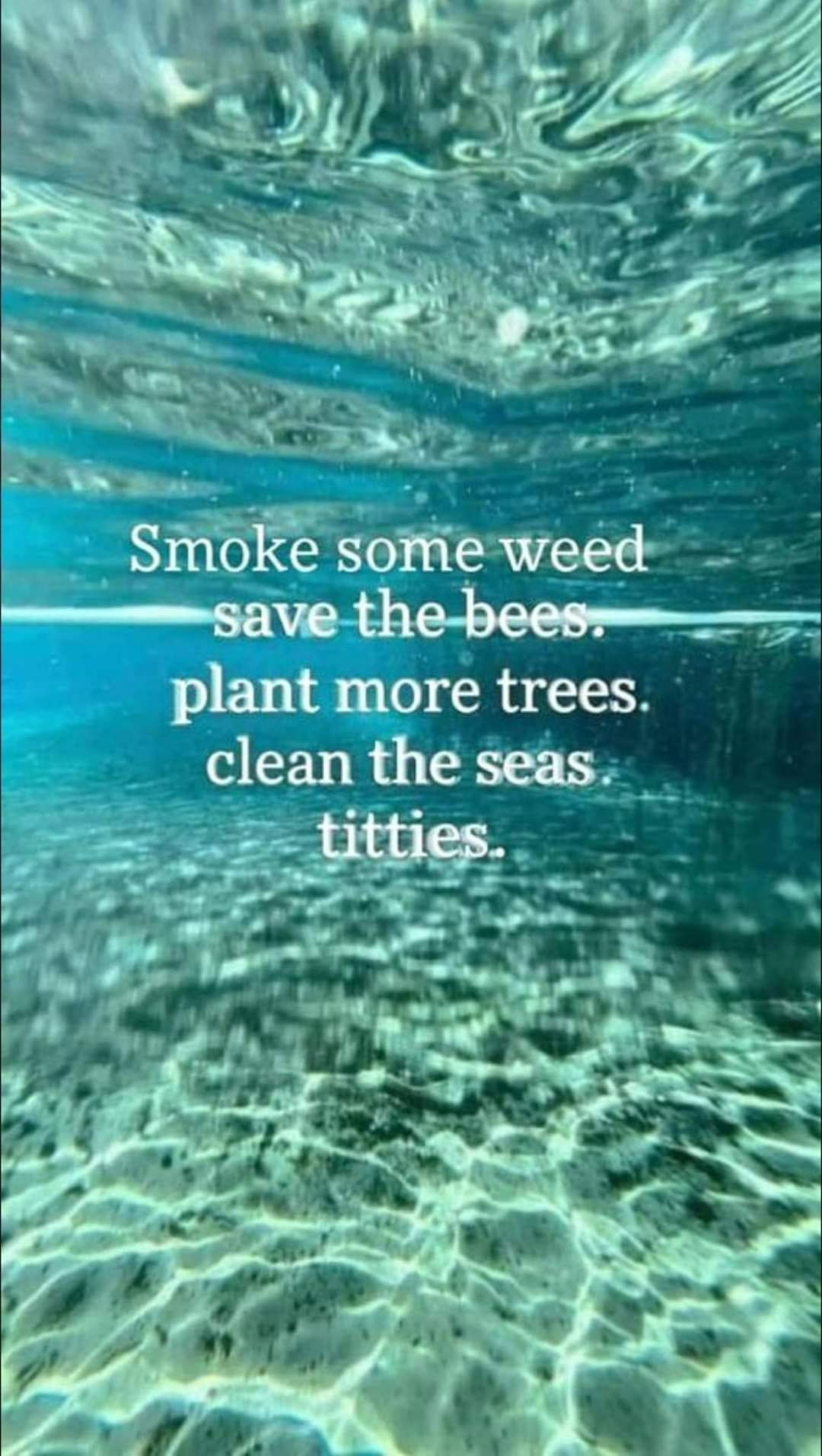 TicklemePINK6404 photo