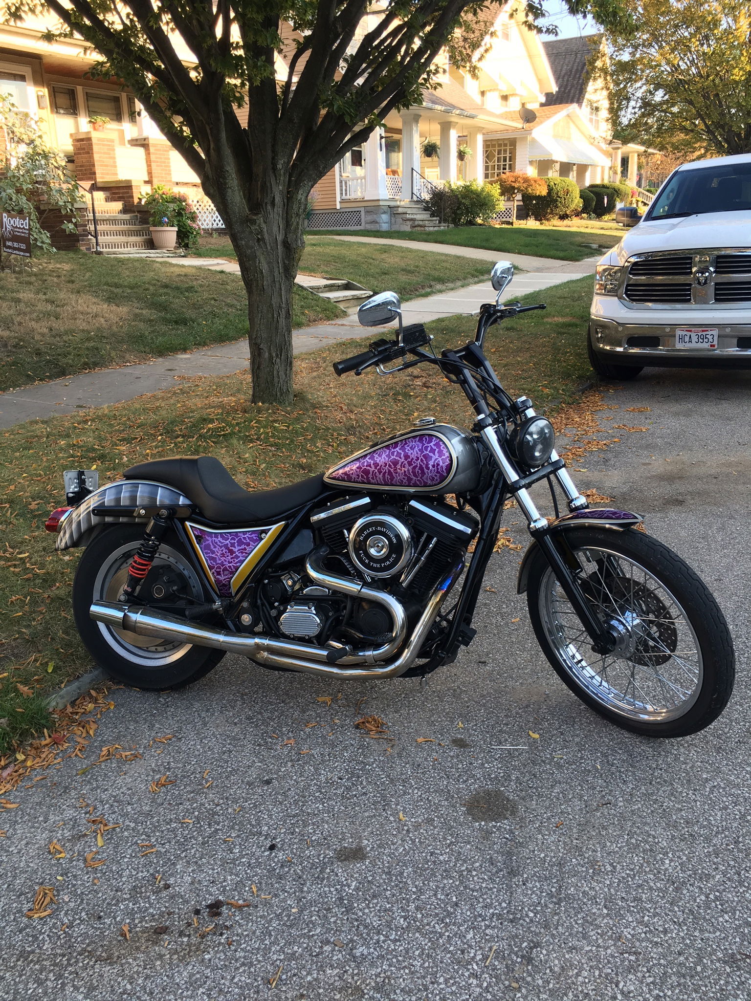 Butchcassidy13 photo