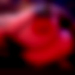 syd (โฟโ โฟโ ) photo