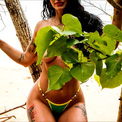 Tropical Island Adventure with Artemis