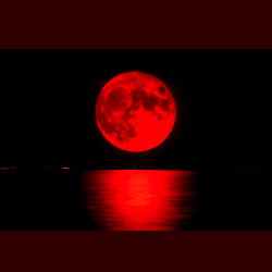 Dela Reyna 💋 photo