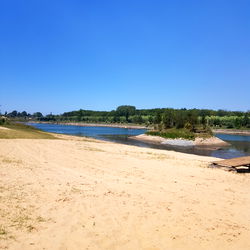 Conejita Arg🇦🇷 photo