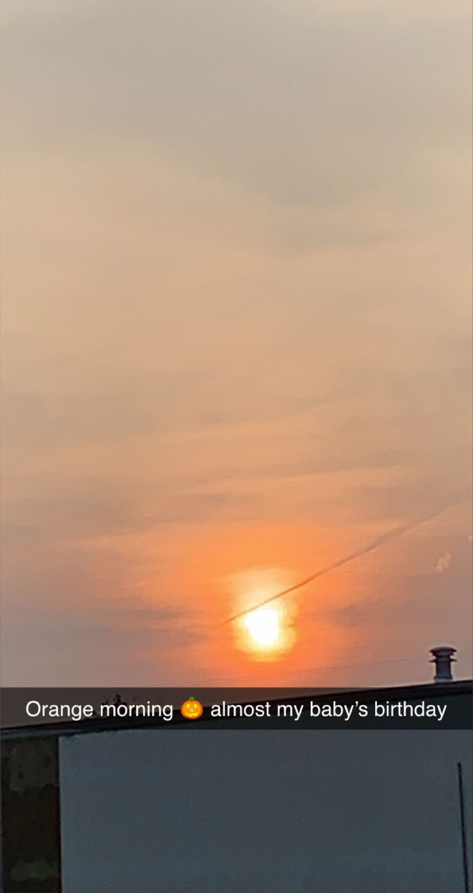 Sierra Yong 🌶️ photo