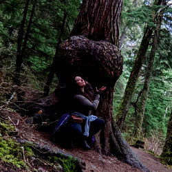 A Photographer's Perspective in a Forested Area with the Two Wheeled Hobbit