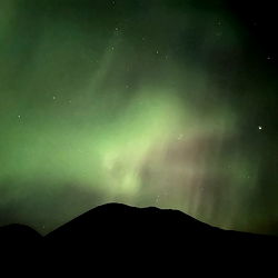 Two Wheeled Hobbit photo